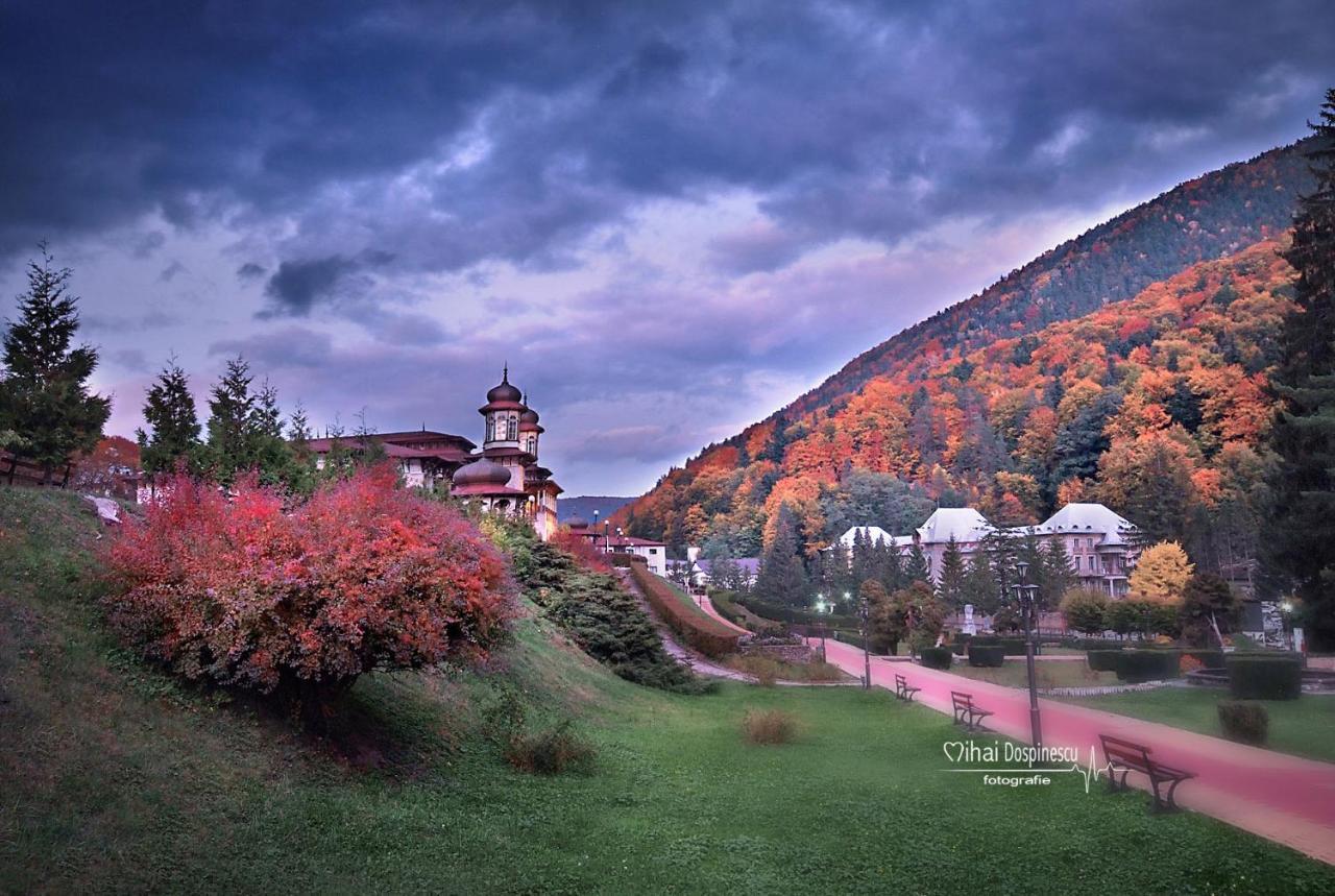 Apartament Diandru Slănic-Moldova エクステリア 写真
